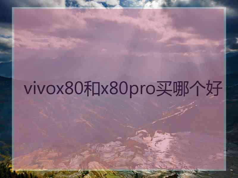 vivox80和x80pro买哪个好