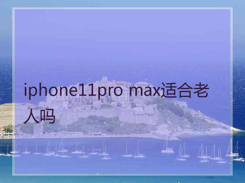 iphone11pro max适合老人吗