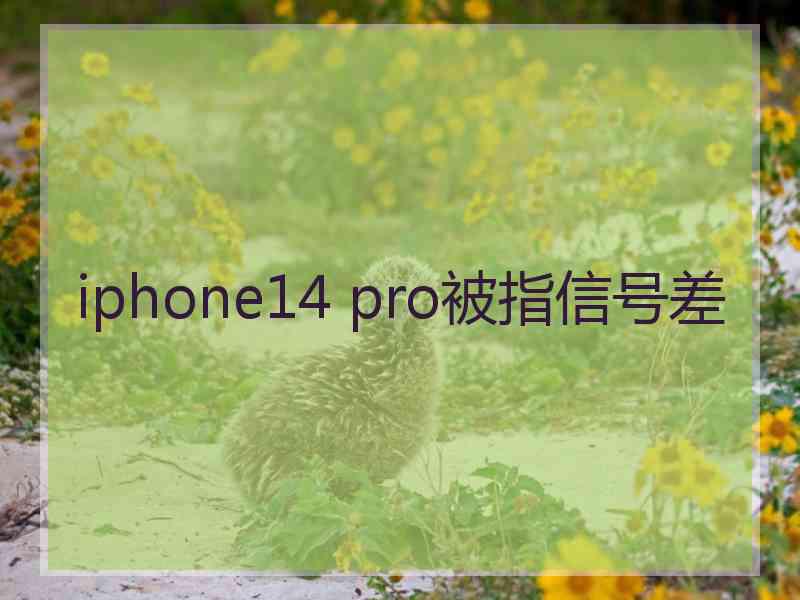 iphone14 pro被指信号差