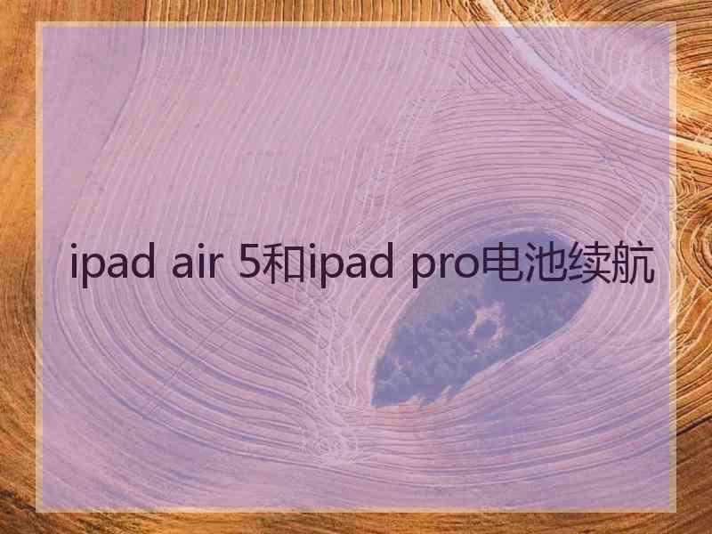 ipad air 5和ipad pro电池续航