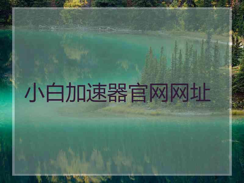 小白加速器官网网址