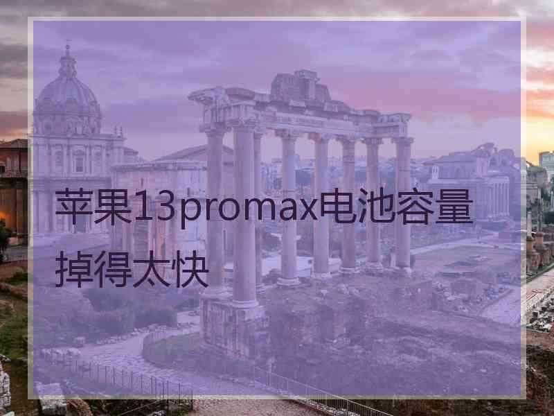 苹果13promax电池容量掉得太快