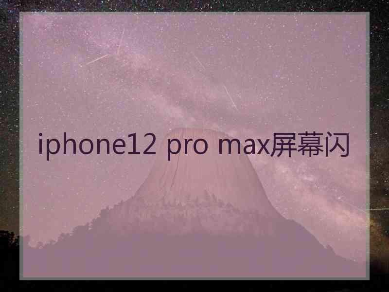 iphone12 pro max屏幕闪