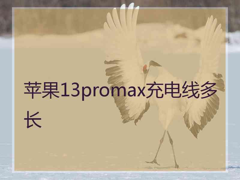 苹果13promax充电线多长