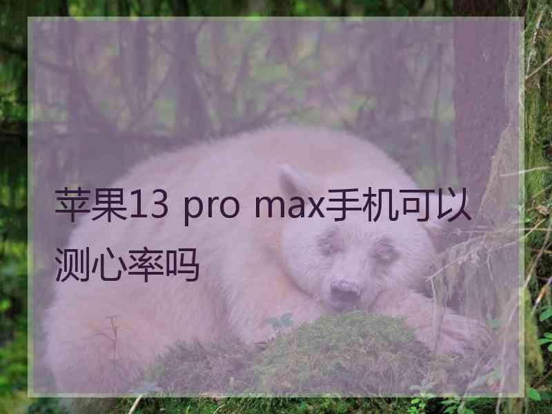 苹果13 pro max手机可以测心率吗