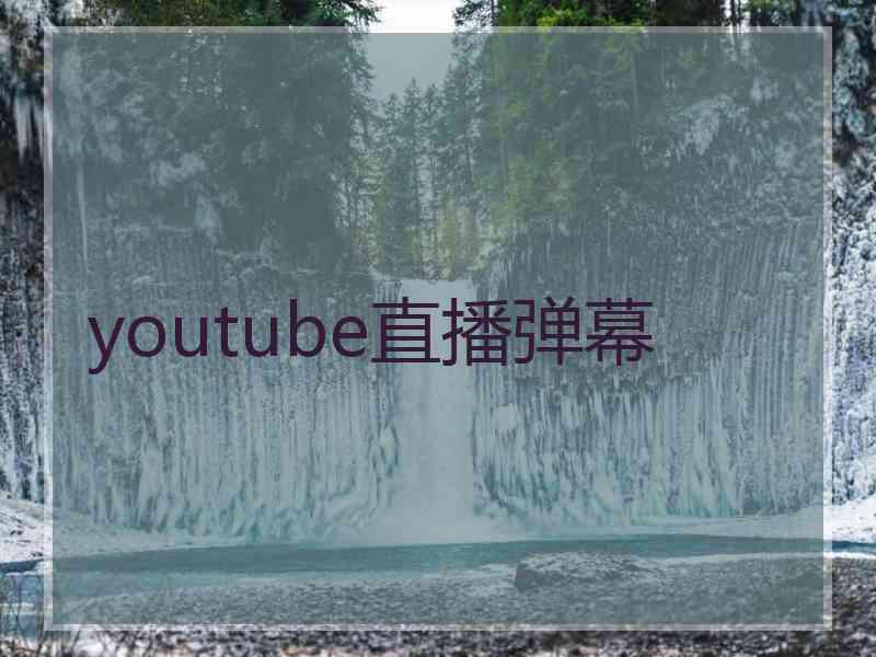 youtube直播弹幕