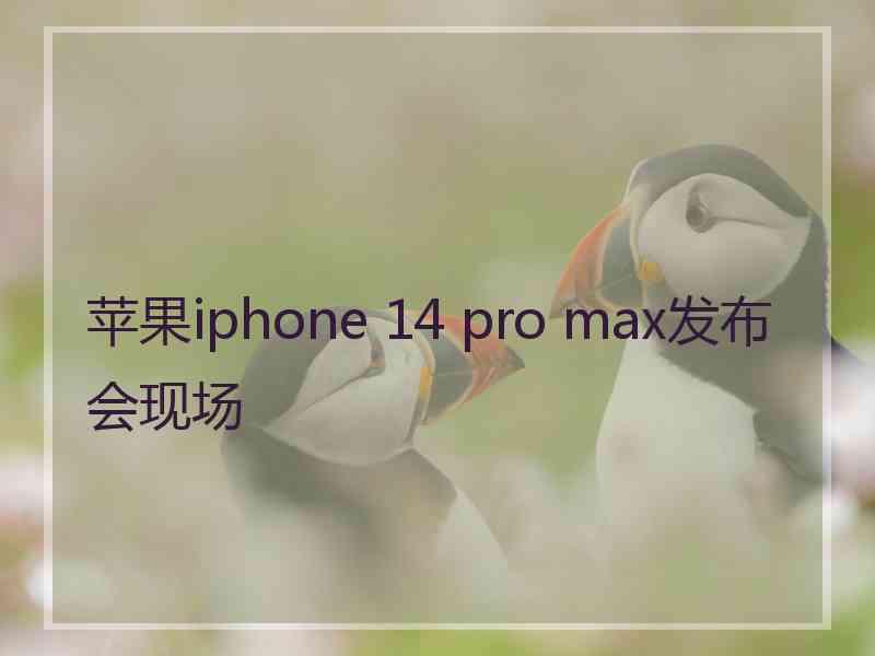 苹果iphone 14 pro max发布会现场