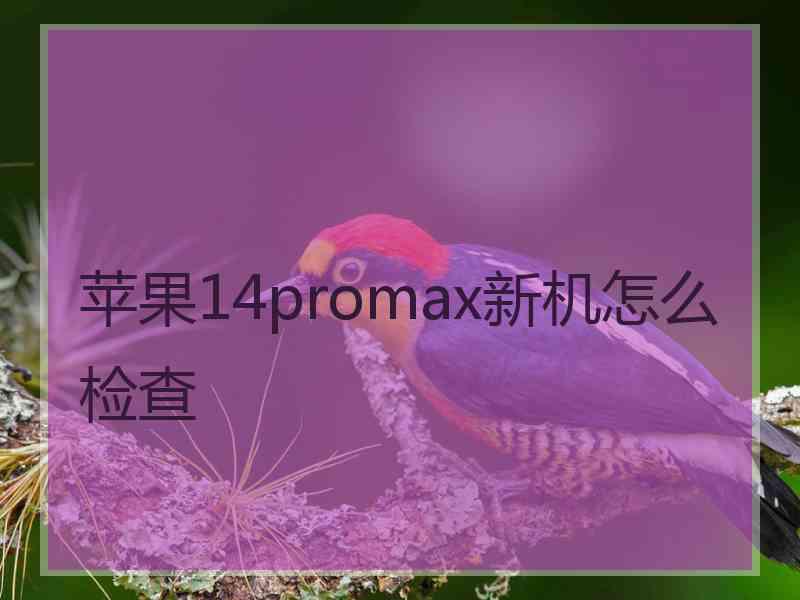 苹果14promax新机怎么检查