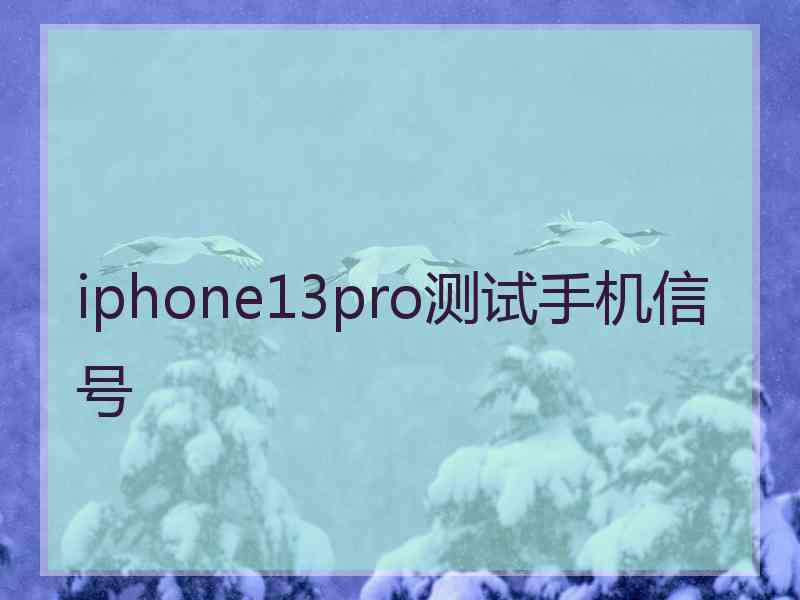 iphone13pro测试手机信号