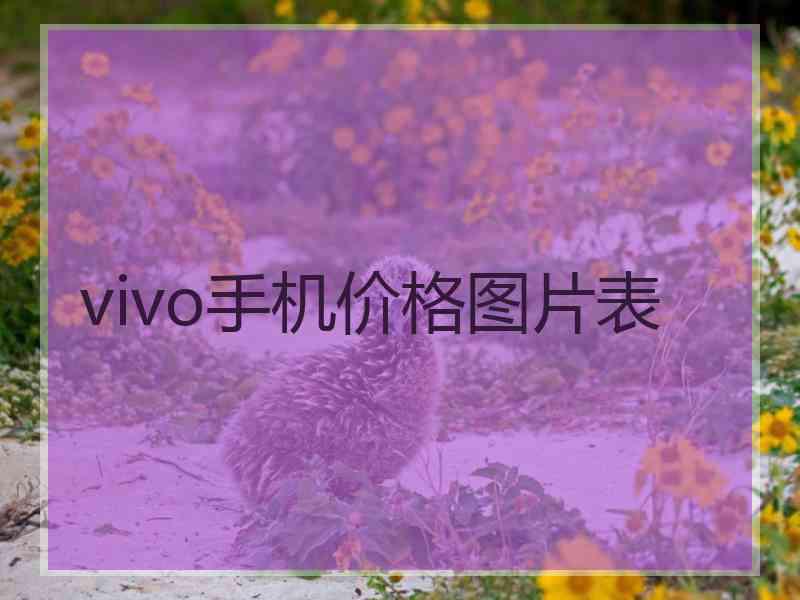 vivo手机价格图片表