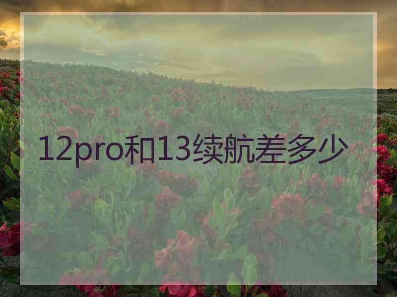 12pro和13续航差多少