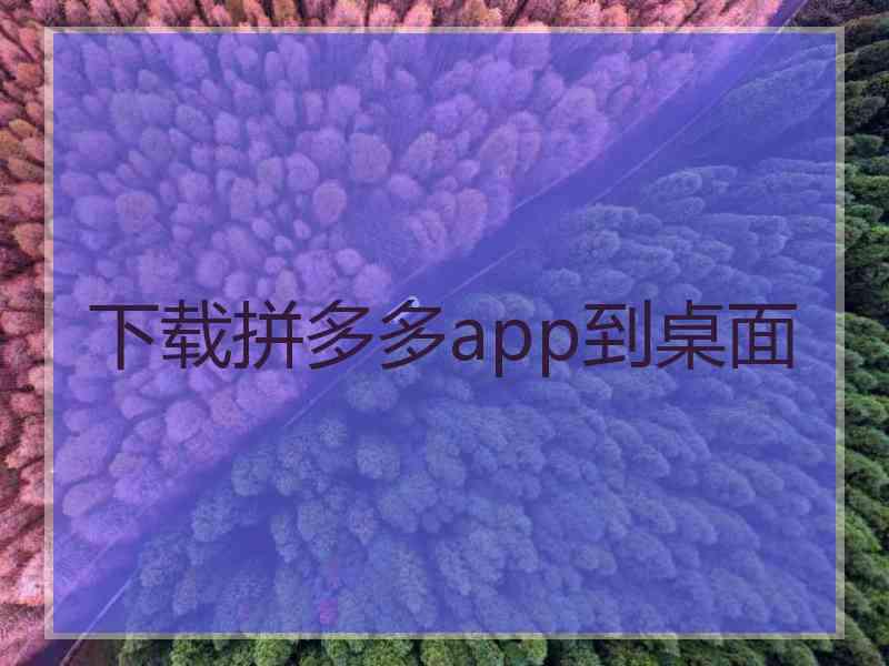 下载拼多多app到桌面