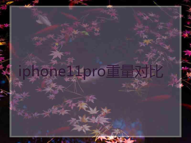 iphone11pro重量对比