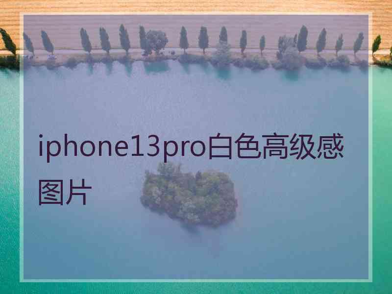 iphone13pro白色高级感图片