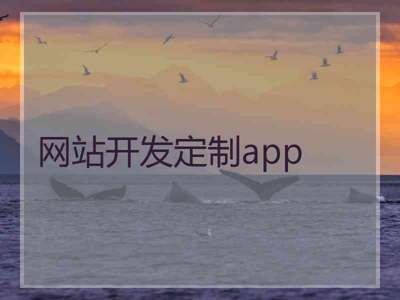 网站开发定制app