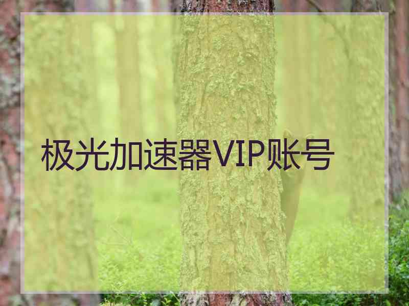 极光加速器VIP账号