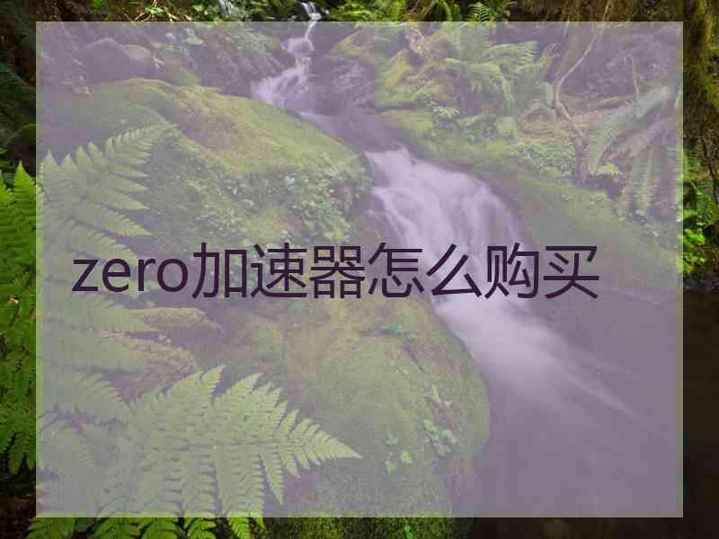 zero加速器怎么购买