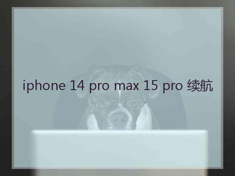 iphone 14 pro max 15 pro 续航