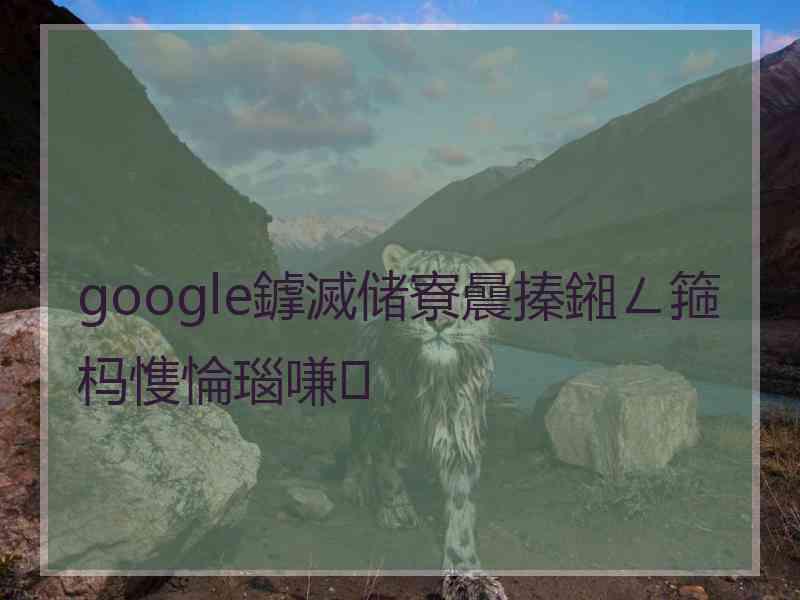 google鎼滅储寮曟搸鎺ㄥ箍杩愯惀瑙嗛