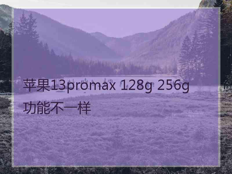 苹果13promax 128g 256g功能不一样