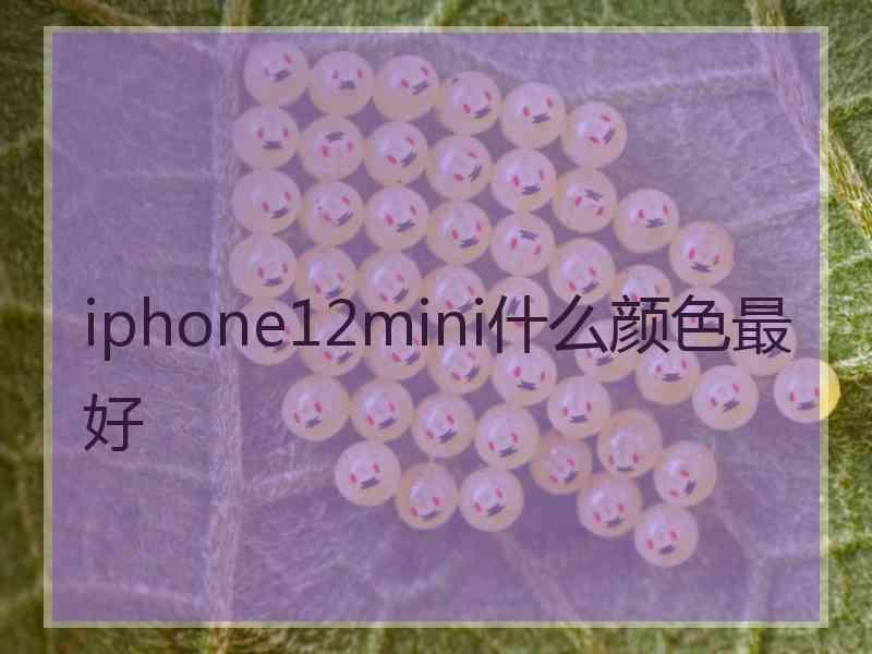 iphone12mini什么颜色最好