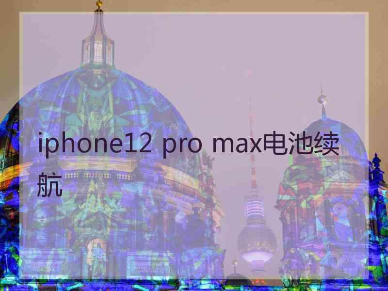 iphone12 pro max电池续航