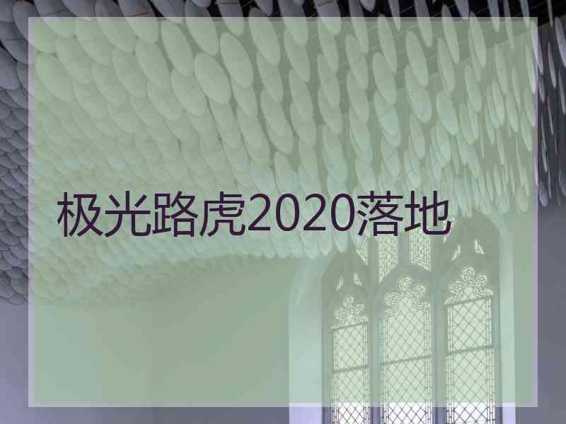 极光路虎2020落地