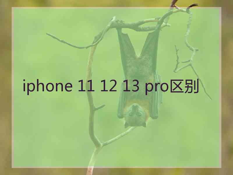 iphone 11 12 13 pro区别