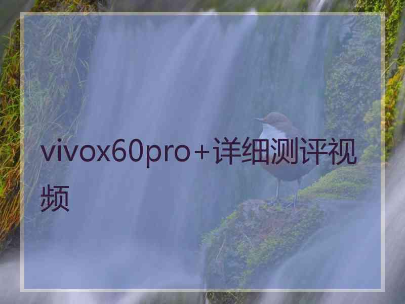 vivox60pro+详细测评视频