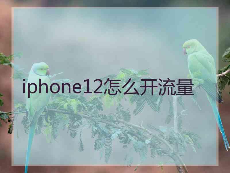 iphone12怎么开流量