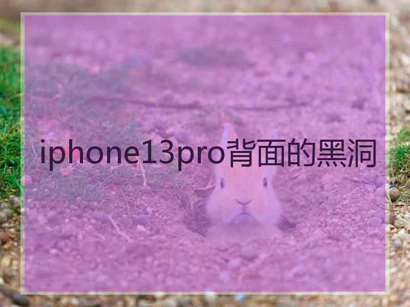 iphone13pro背面的黑洞