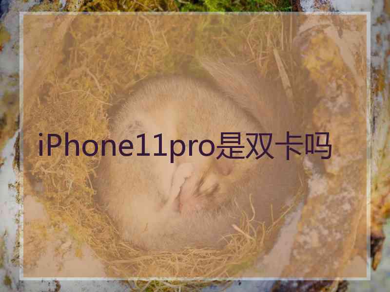 iPhone11pro是双卡吗