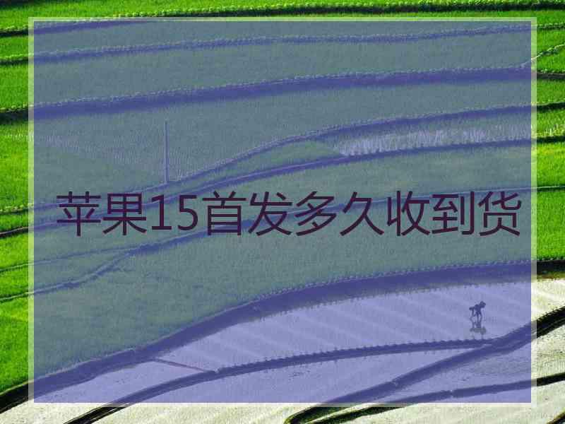 苹果15首发多久收到货