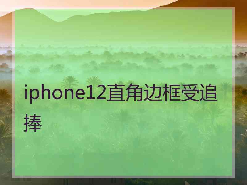 iphone12直角边框受追捧