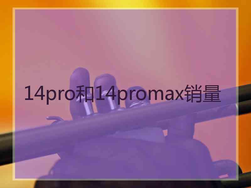 14pro和14promax销量