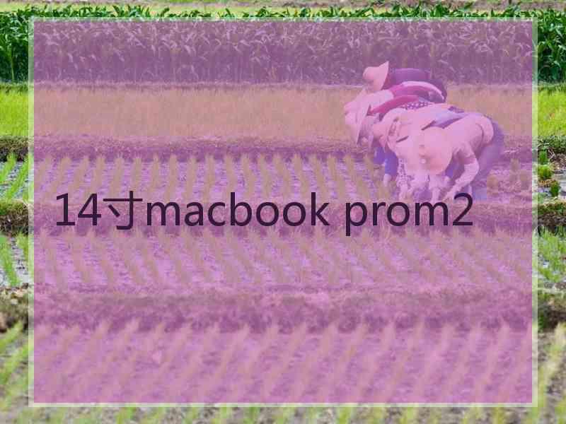 14寸macbook prom2