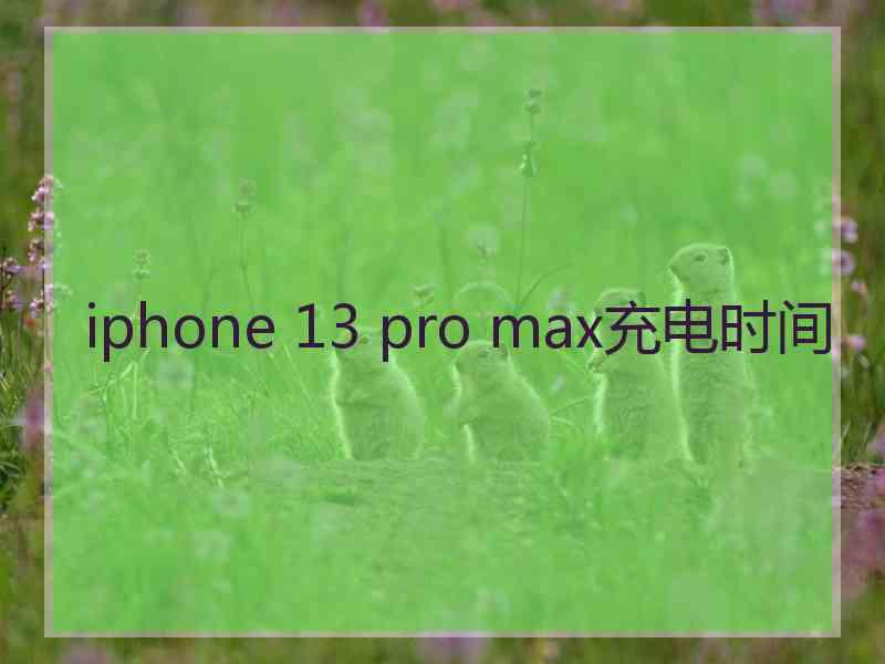 iphone 13 pro max充电时间