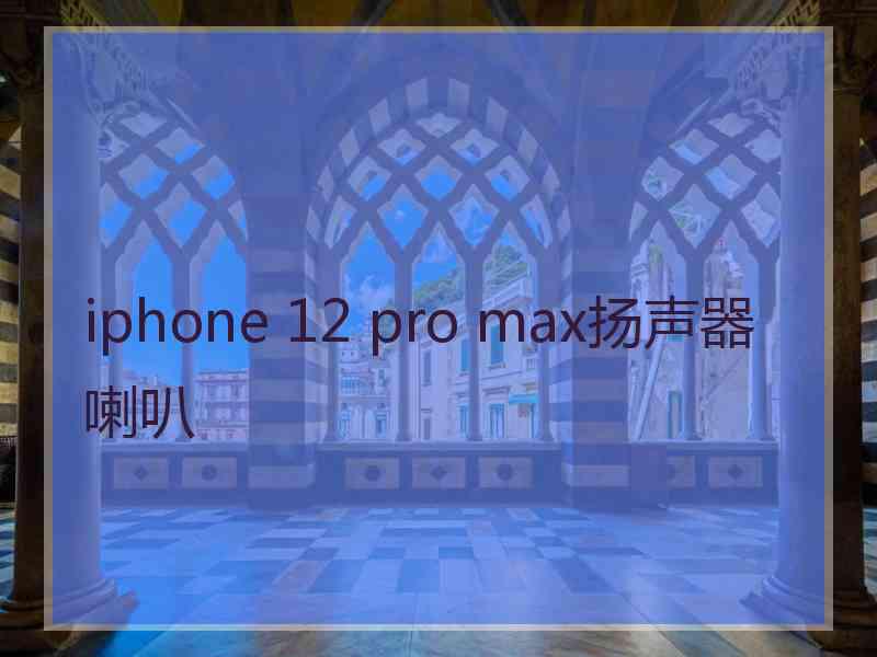 iphone 12 pro max扬声器喇叭