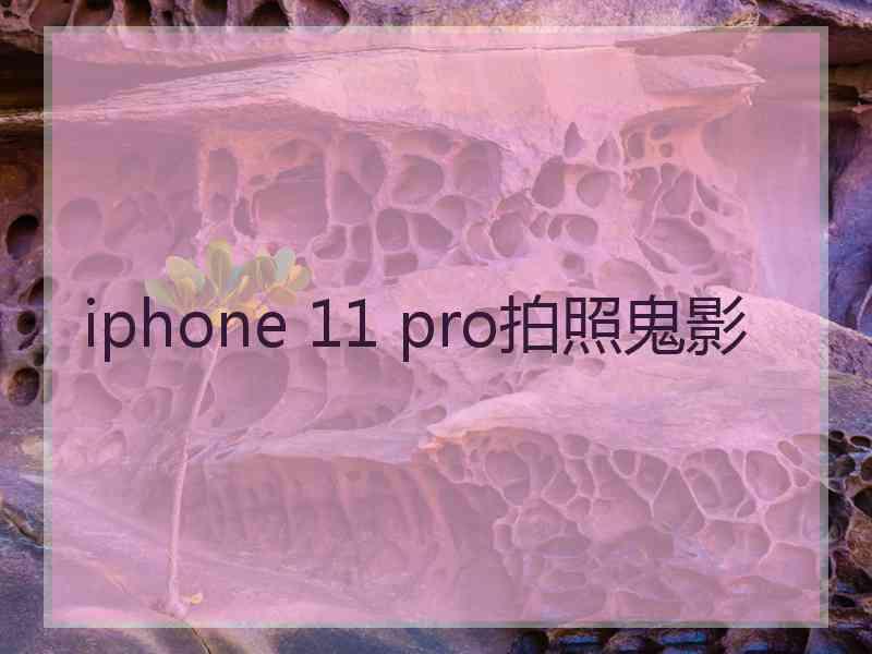 iphone 11 pro拍照鬼影