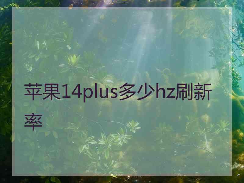 苹果14plus多少hz刷新率