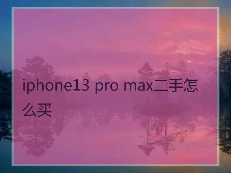 iphone13 pro max二手怎么买