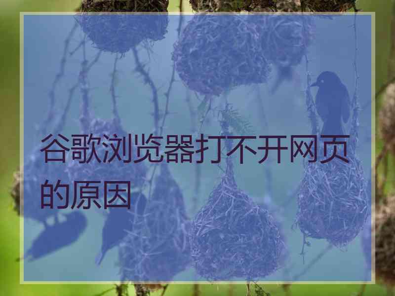 谷歌浏览器打不开网页的原因