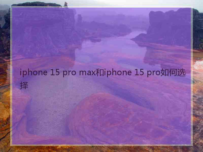 iphone 15 pro max和iphone 15 pro如何选择