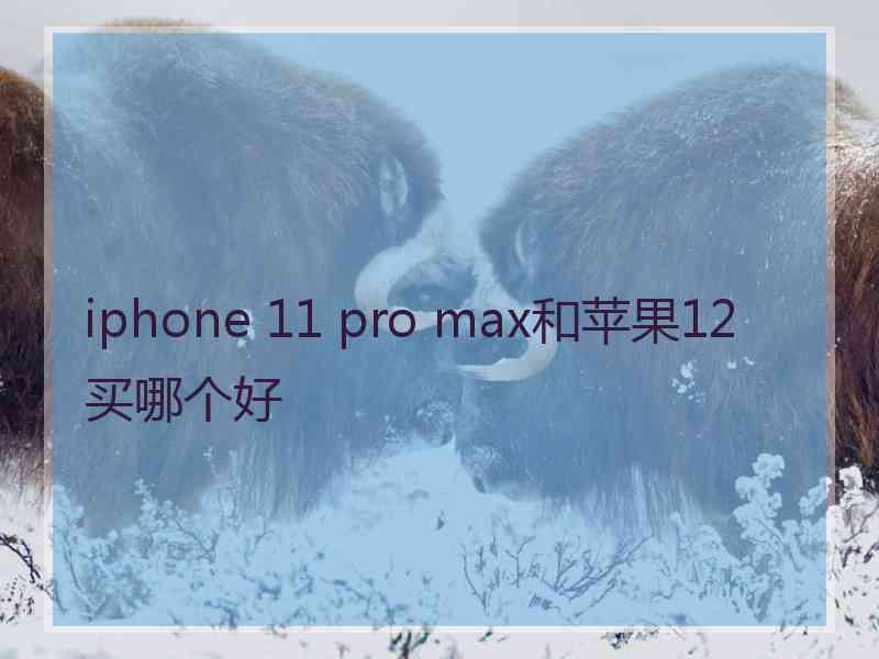 iphone 11 pro max和苹果12买哪个好