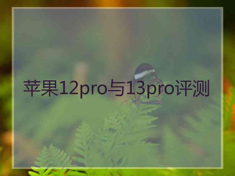 苹果12pro与13pro评测