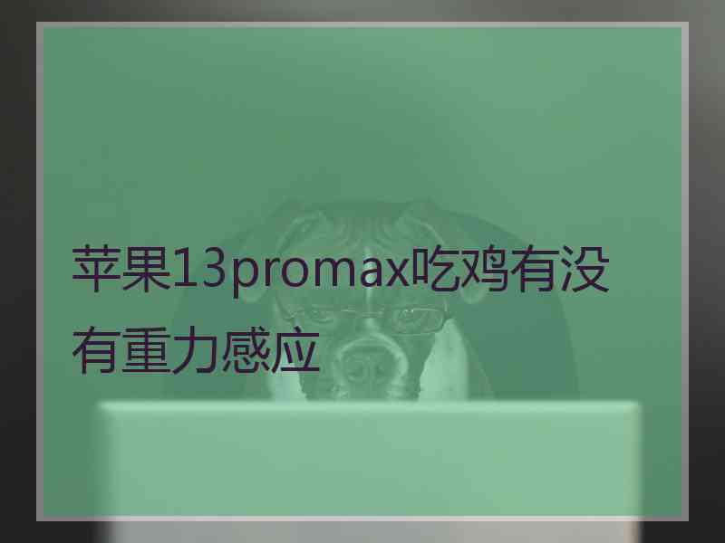 苹果13promax吃鸡有没有重力感应