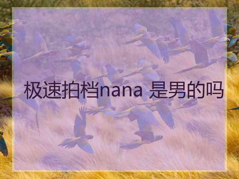 极速拍档nana 是男的吗