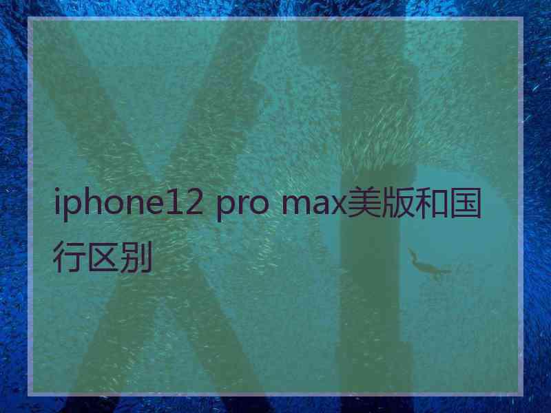 iphone12 pro max美版和国行区别