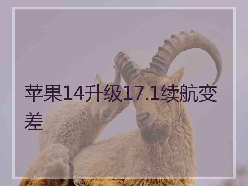 苹果14升级17.1续航变差