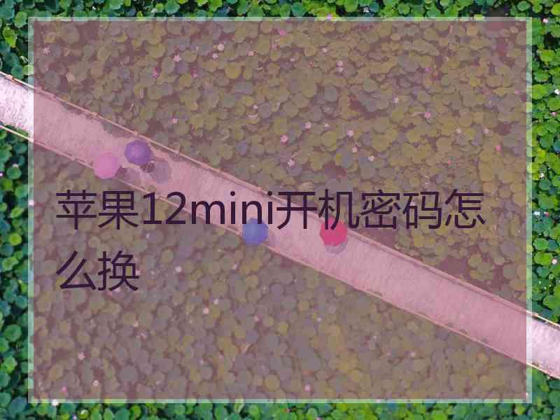 苹果12mini开机密码怎么换